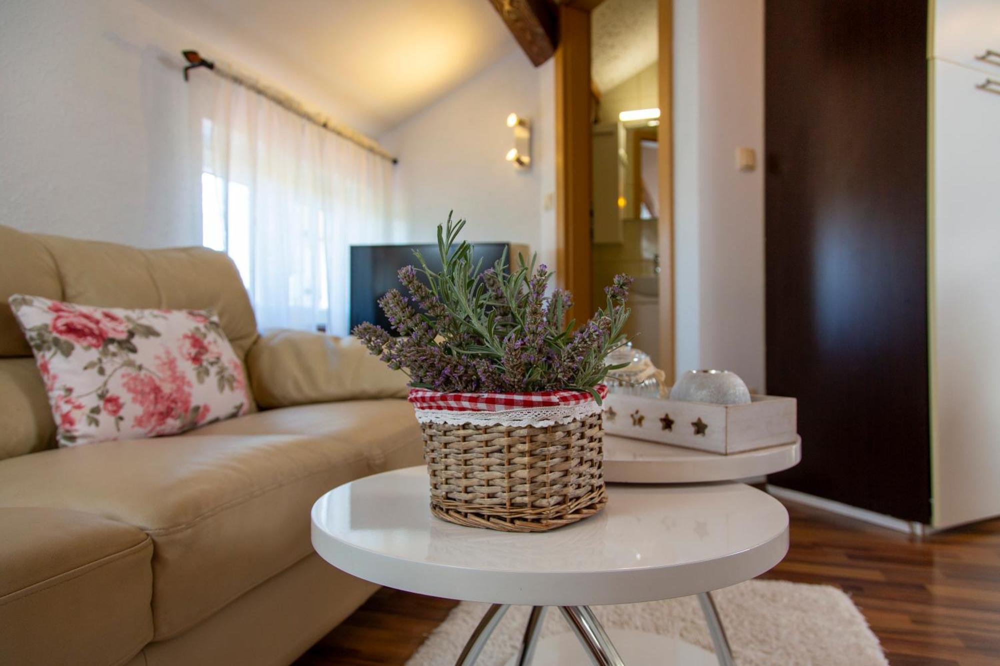 Apartma Viki Stinjan *